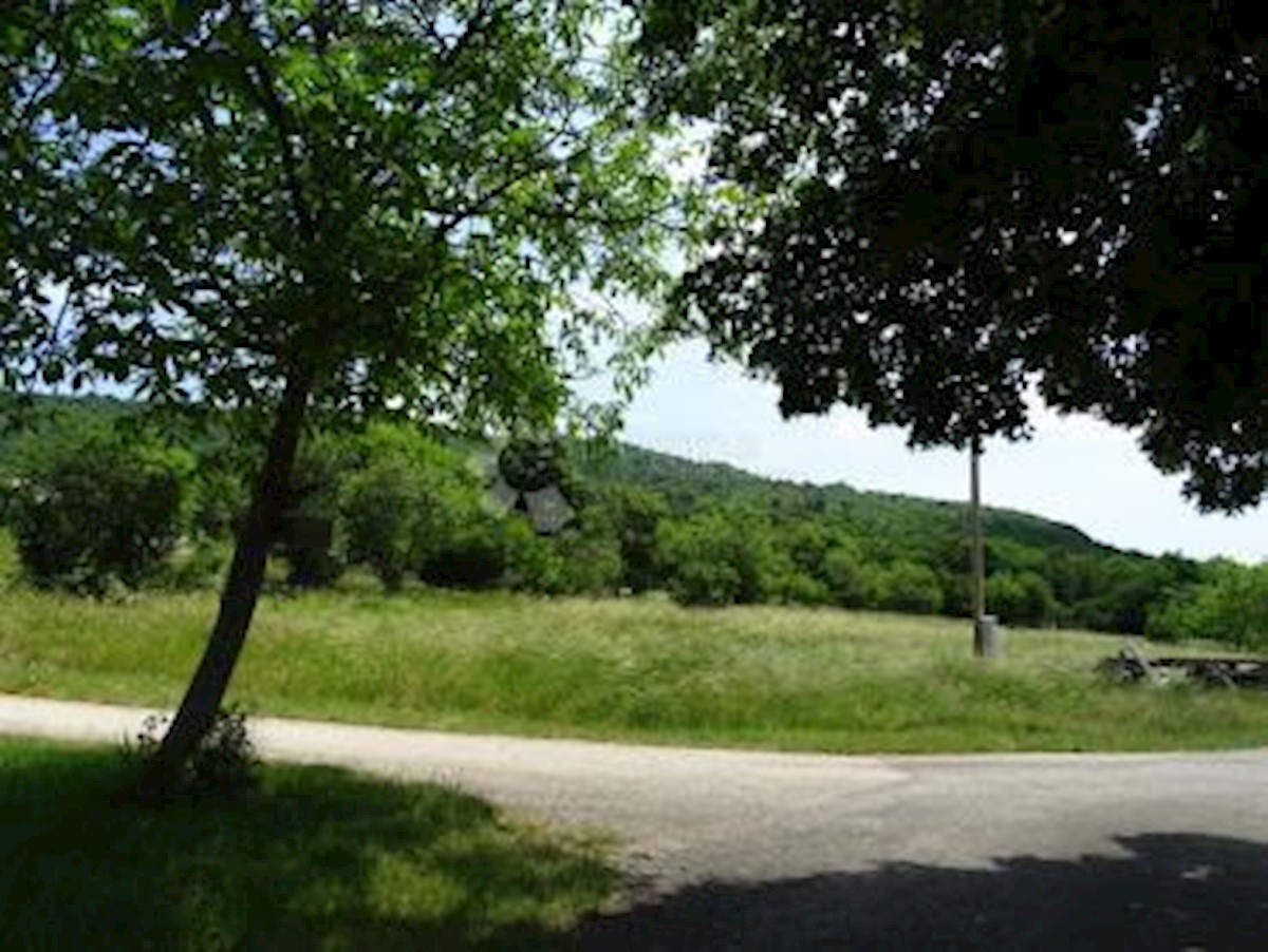 Land For sale - ISTARSKA BUZET