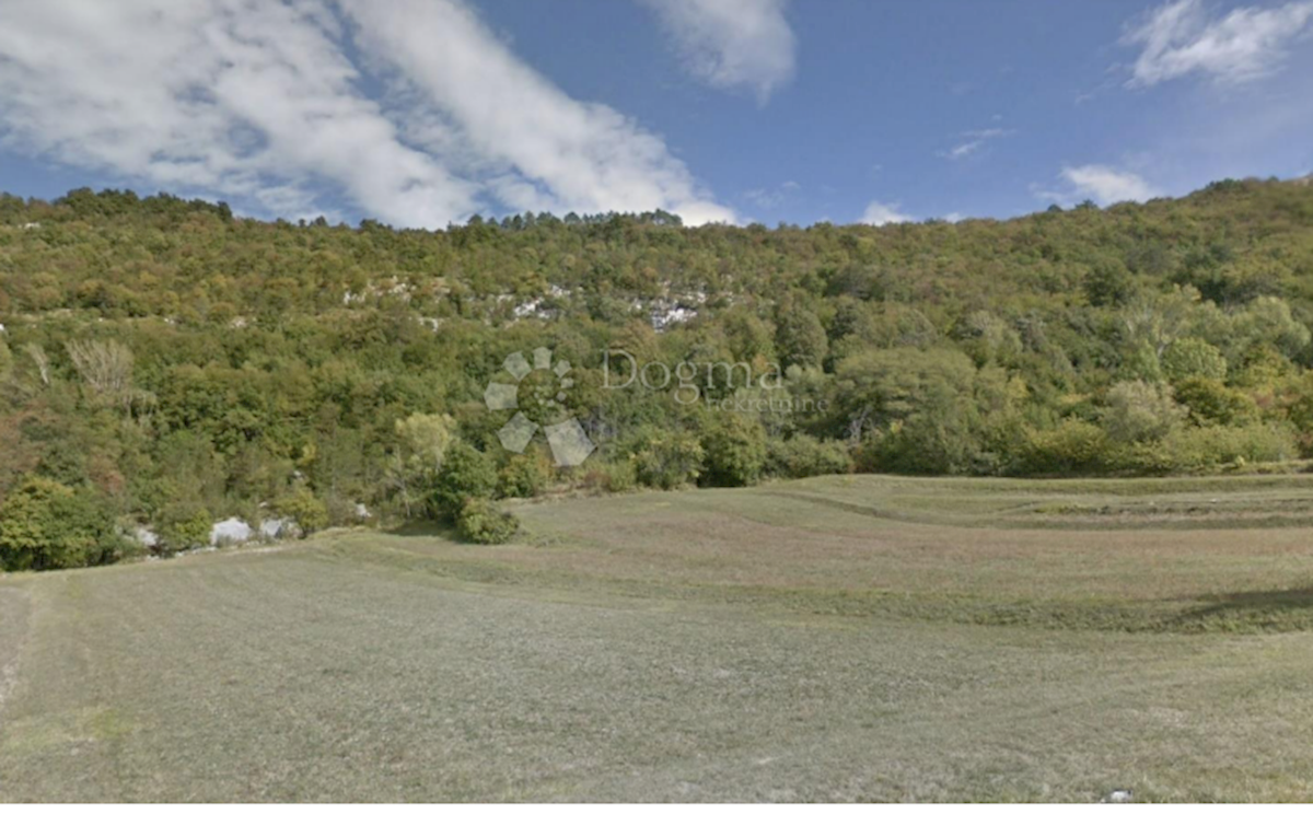 Land For sale - ISTARSKA BUZET