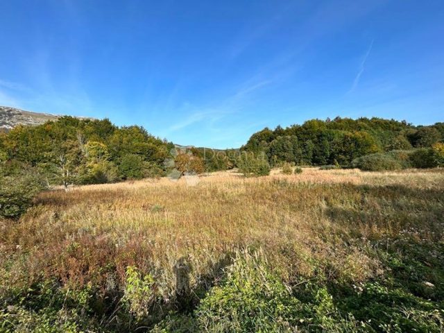 Terrain À vendre - Ličko-senjska Gospić - foto 4/4