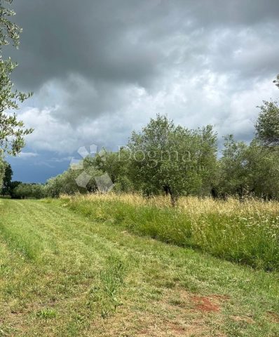 Zemljište na prodaju 11015 m² – Nova Vas