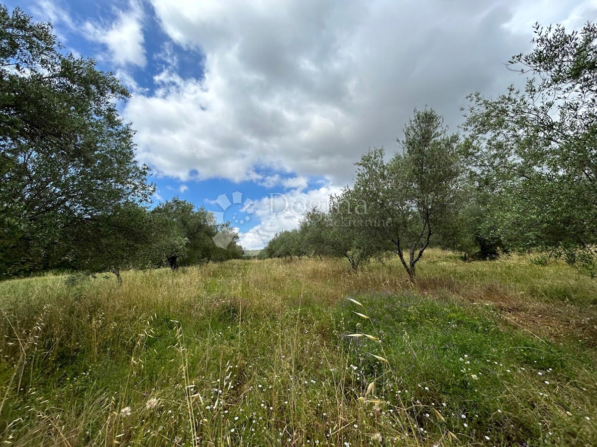 Land For sale - ISTARSKA BRTONIGLA