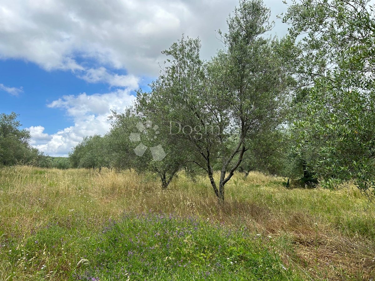 Land For sale - ISTARSKA BRTONIGLA