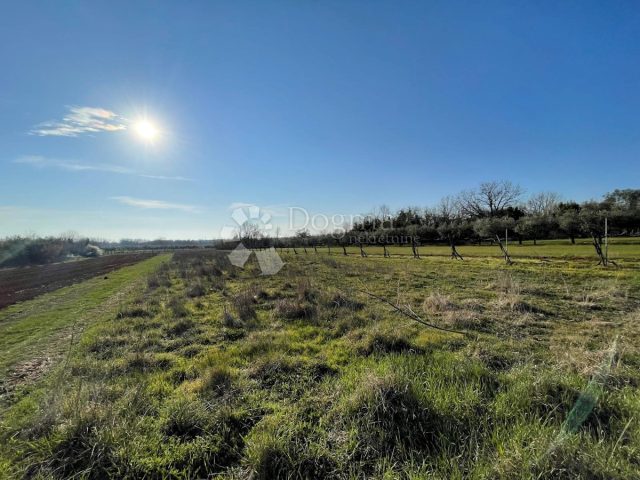 Zemljište na prodaju 2586 m² – Nova Vas