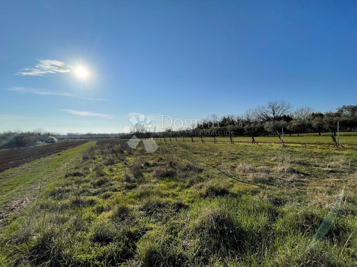 Land For sale NOVA VAS