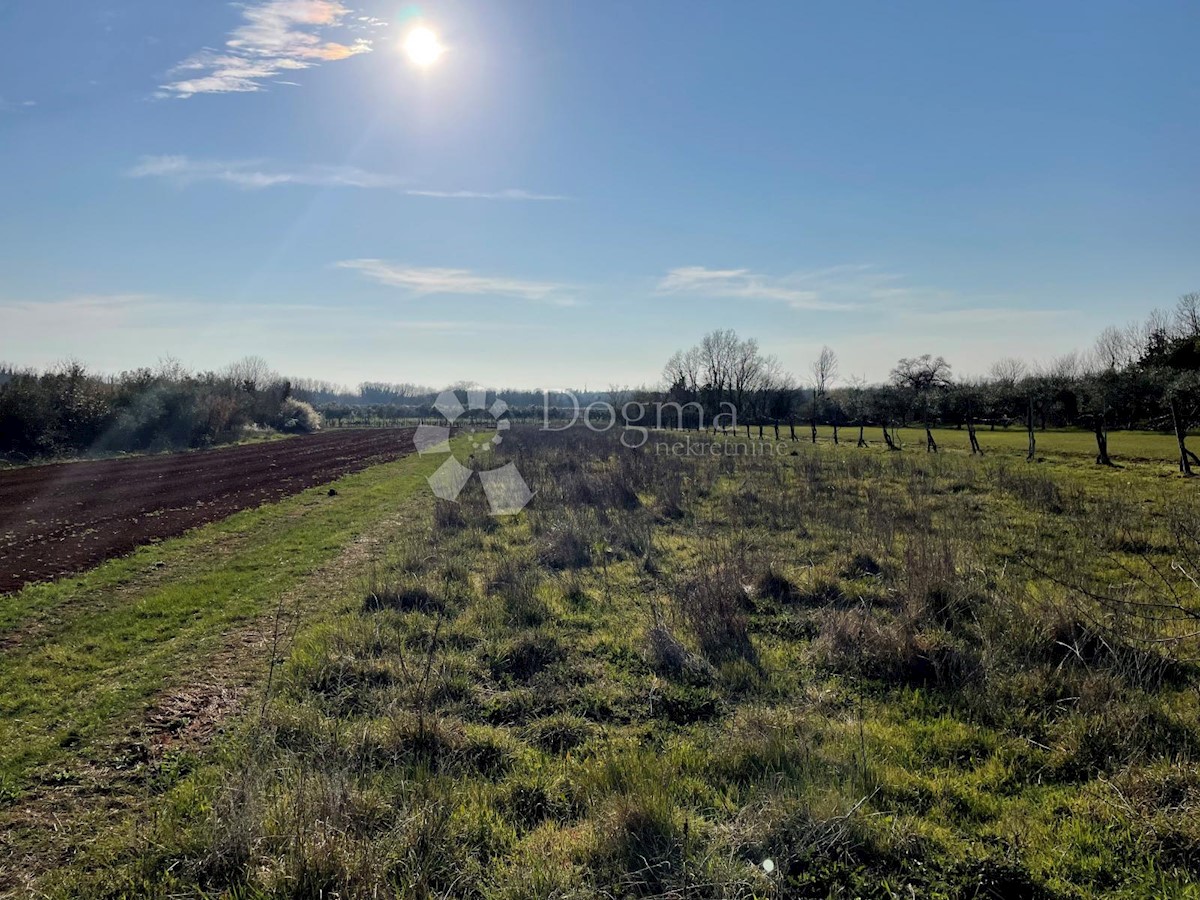 Terreno In vendita - ISTARSKA BRTONIGLA