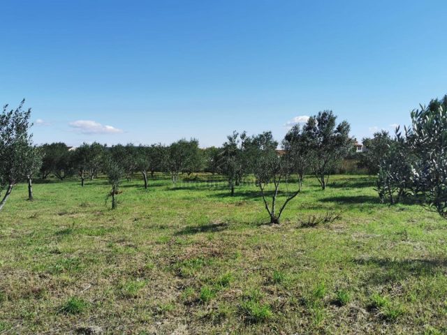 Parcela na predaj 1132 m² – Dobropoljana