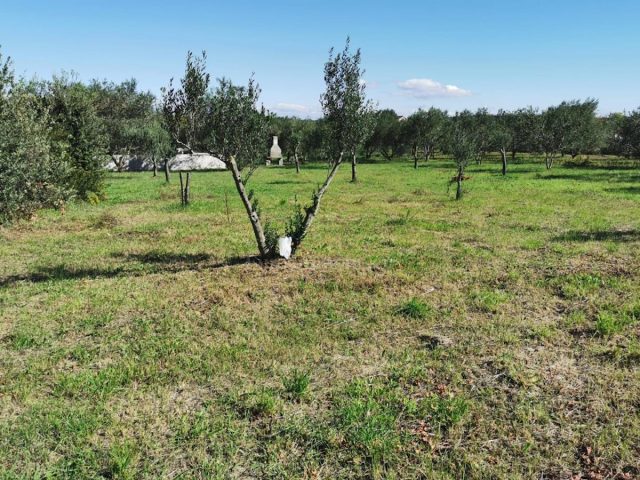 Land For sale - Zadarska Pašman - foto 2/7