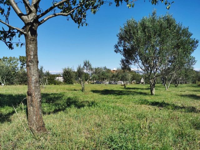 Land For sale - Zadarska Pašman - foto 3/7