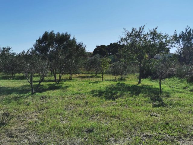 Land For sale - Zadarska Pašman - foto 4/7
