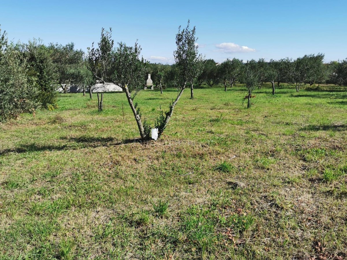 Land For sale - ZADARSKA PAŠMAN