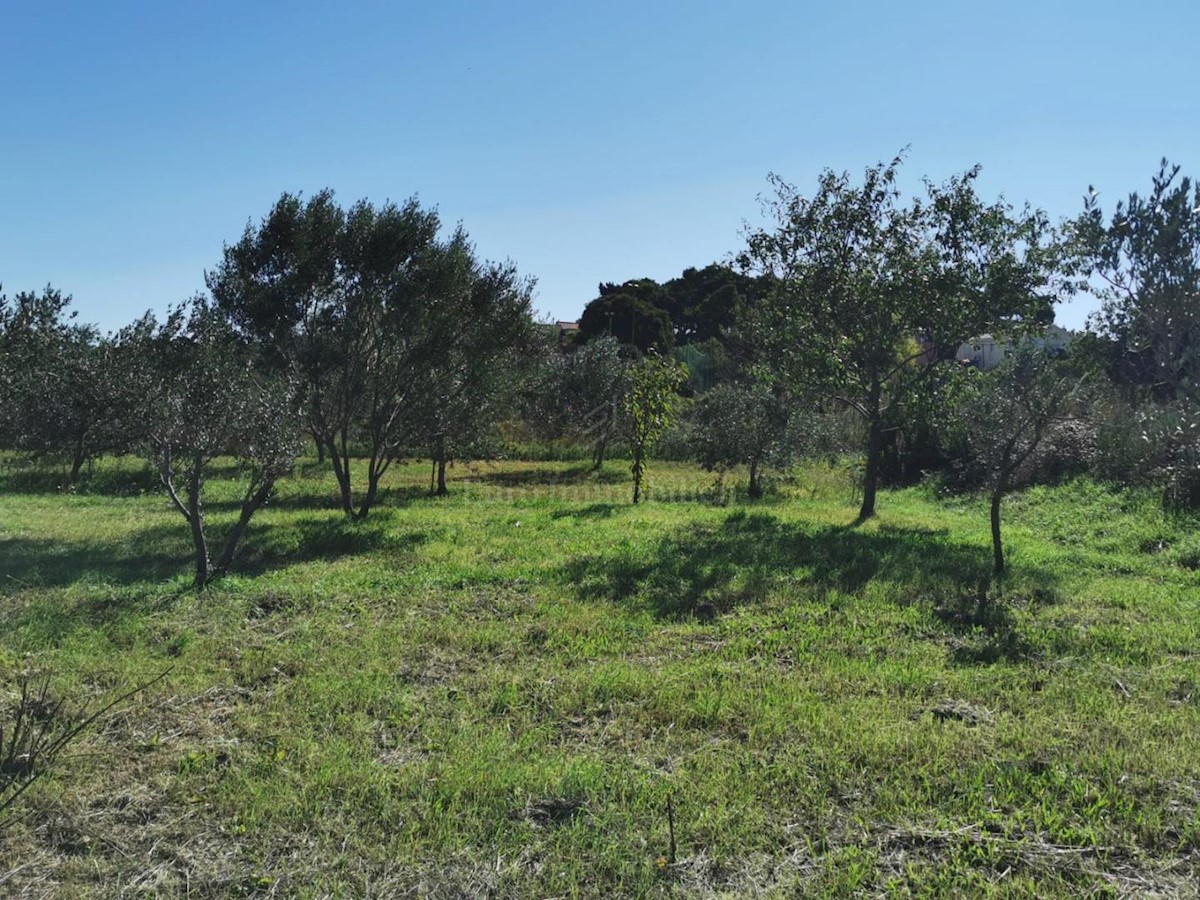 Land For sale - ZADARSKA PAŠMAN