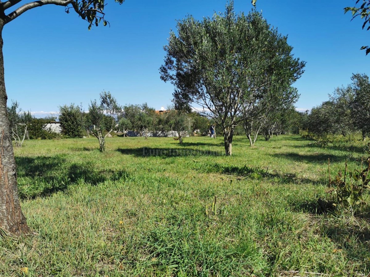 Land For sale - ZADARSKA PAŠMAN