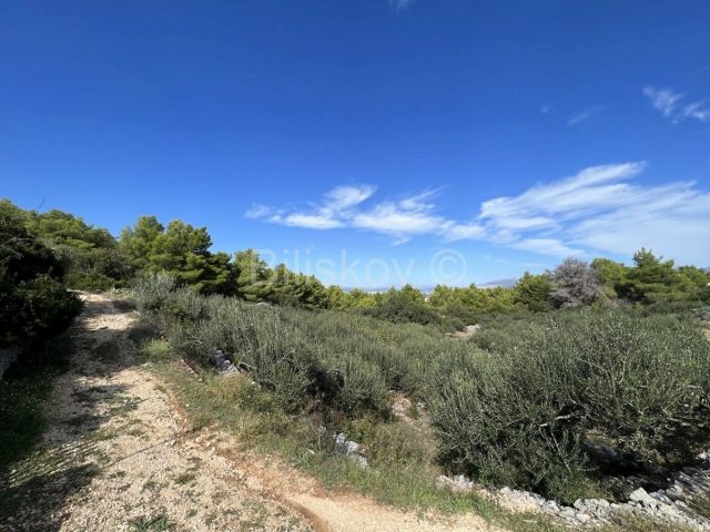 Land for sale 2998 m² – Supetar
