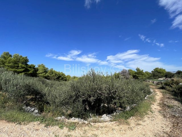 Land For sale - Splitsko-dalmatinska Brač - foto 4/5