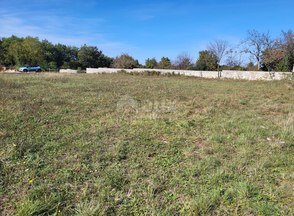 Land For sale - ISTARSKA ŽMINJ