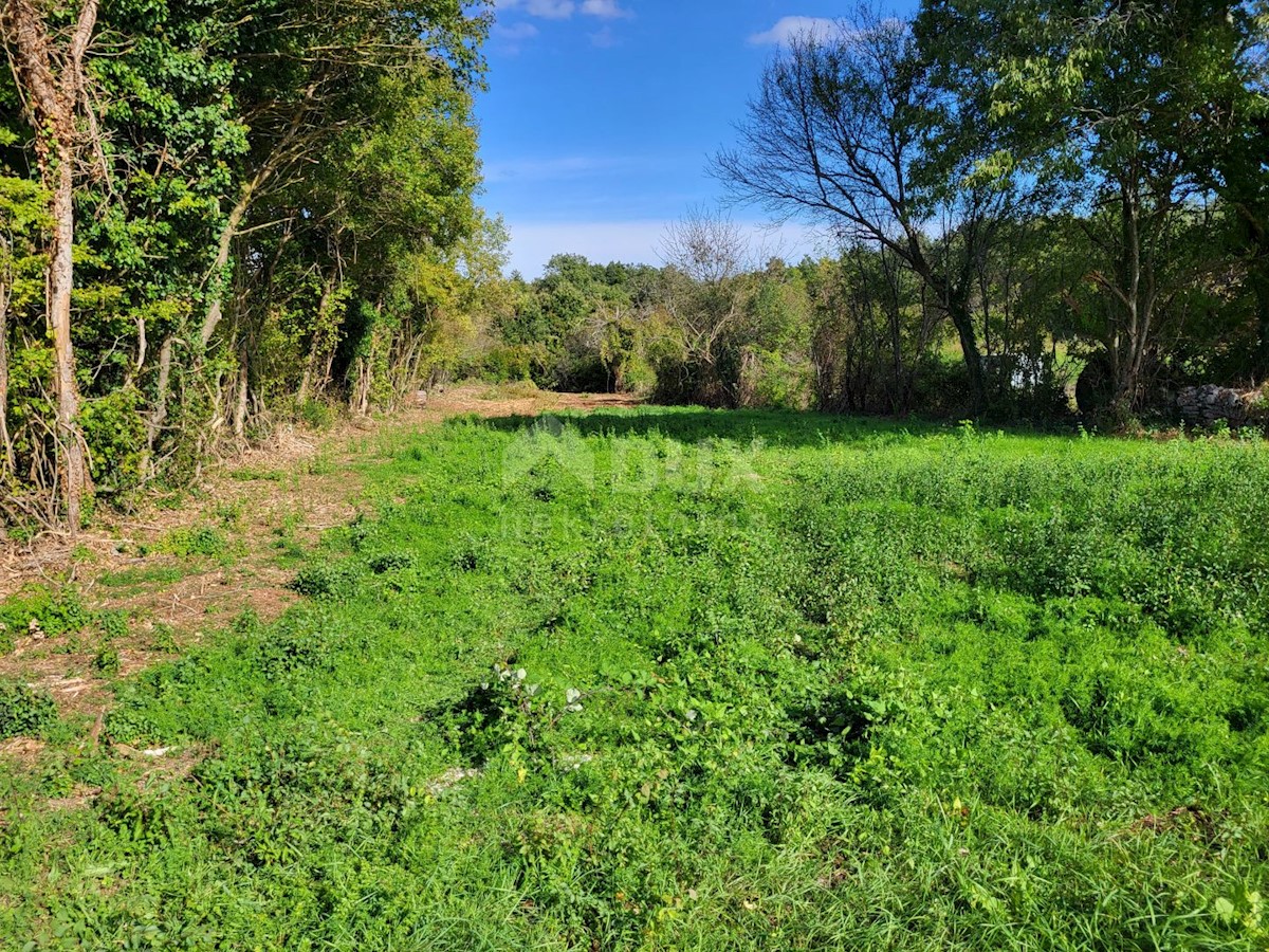 Zemljište Na prodaju - ISTARSKA BARBAN