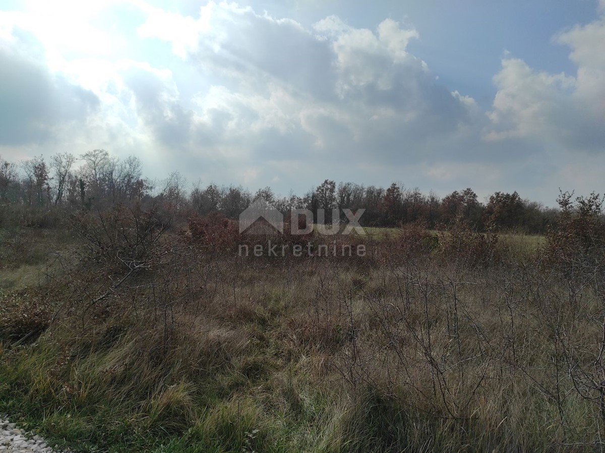 Land For sale NOVA VAS