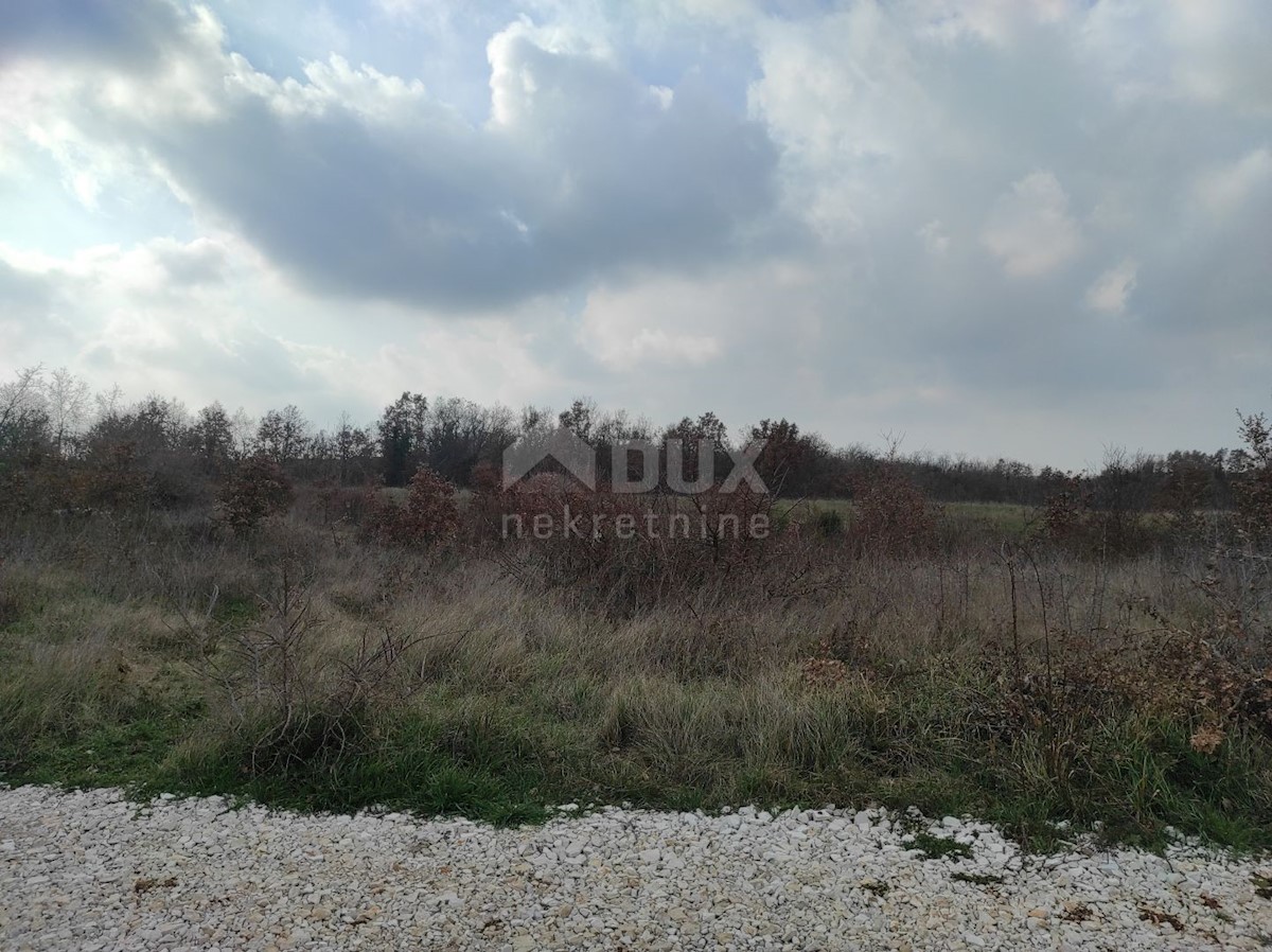 Land For sale - ISTARSKA POREČ