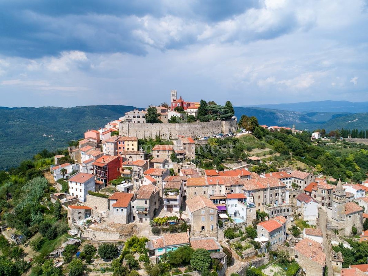Hotels and guesthouses Croatia - Business premises For sale MOTOVUN