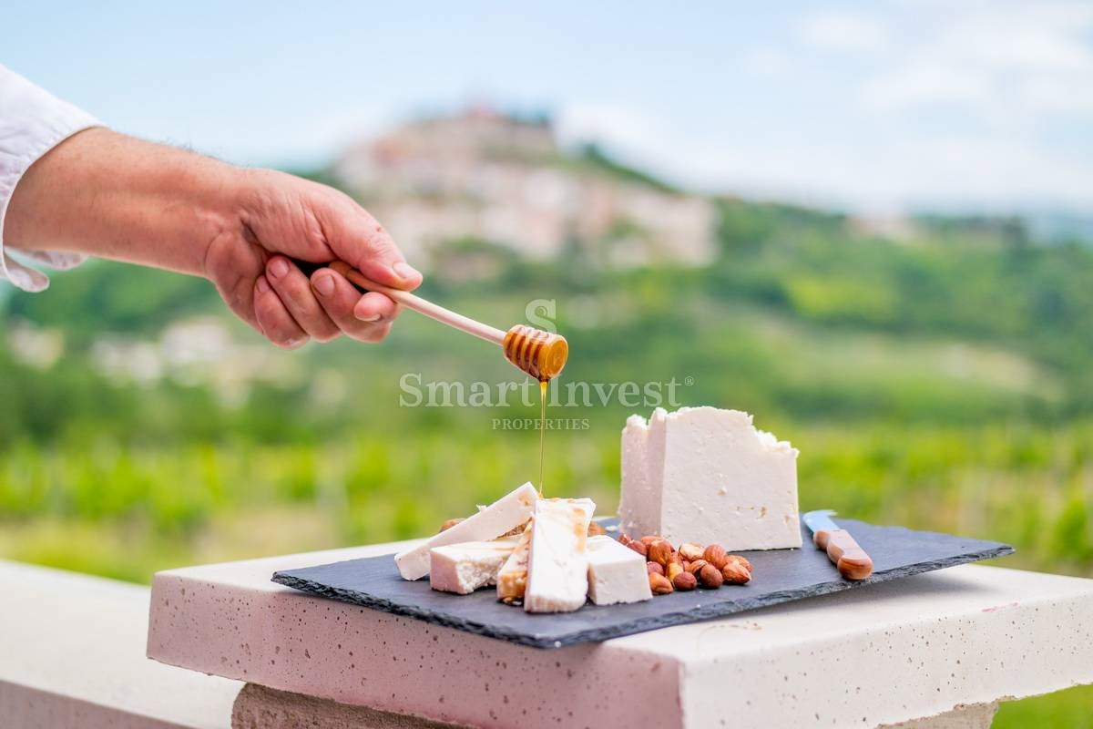 Business premises For sale - ISTARSKA MOTOVUN