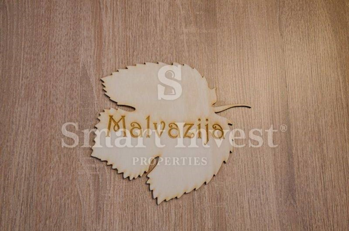 Business premises For sale - ISTARSKA MOTOVUN