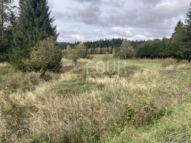Land For sale - Primorsko-goranska Delnice - foto 2/2