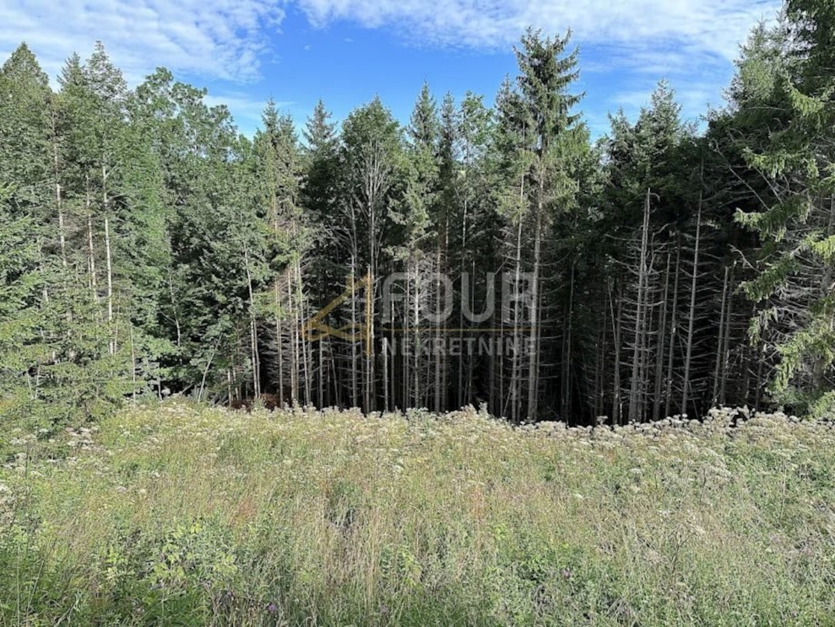 Land For sale - PRIMORSKO-GORANSKA RAVNA GORA