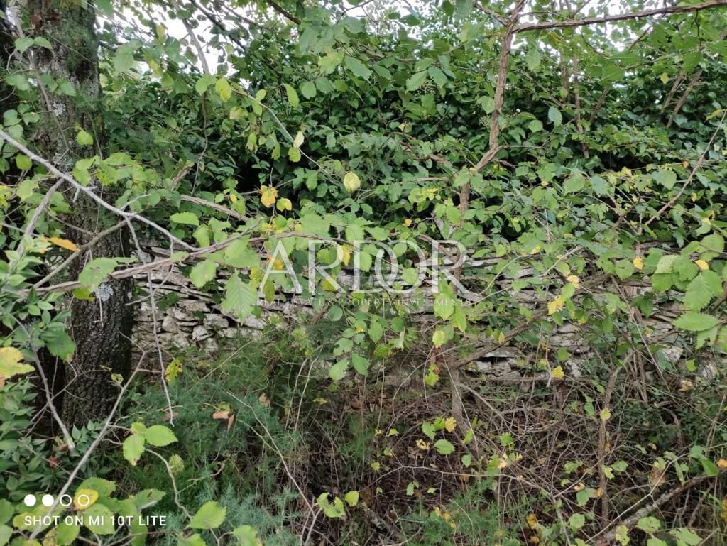 Grundstück Zu verkaufen - Istarska Barban - foto 5/5