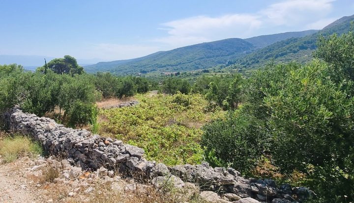 Pozemek na prodej 2000 m² – Jelsa