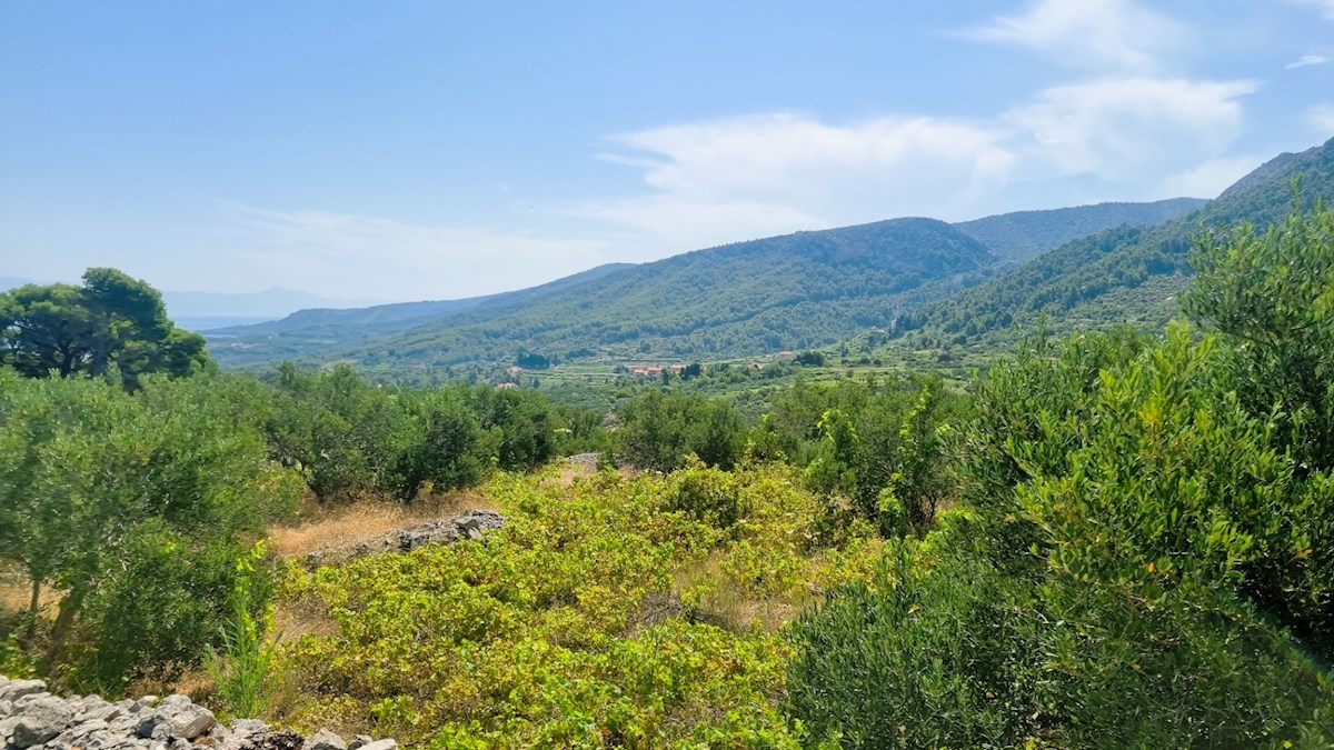 Grundstück Zu verkaufen - SPLITSKO-DALMATINSKA HVAR