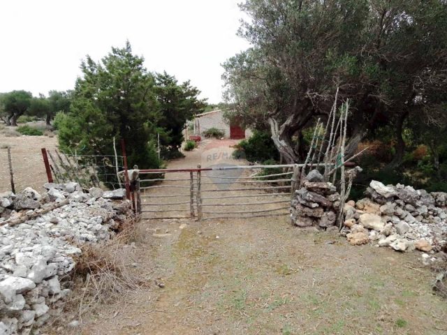 Terrain À vendre - Primorsko-goranska Mali Lošinj - foto 5/8