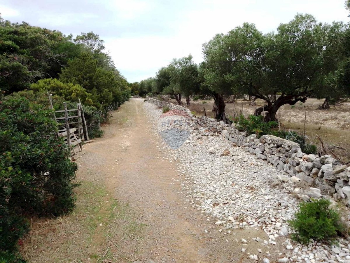 Zemljište Na prodaju - PRIMORSKO-GORANSKA MALI LOŠINJ