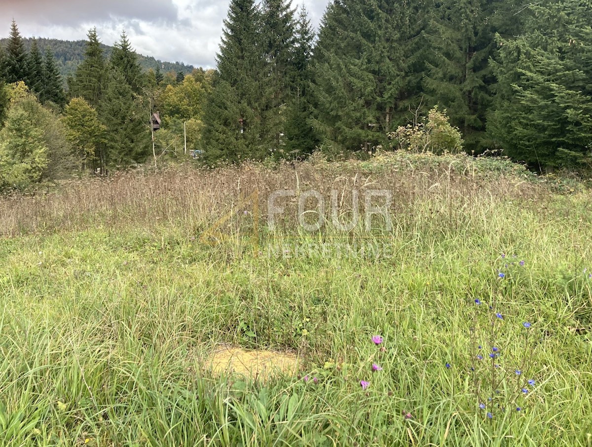 Land For sale CRNI LUG