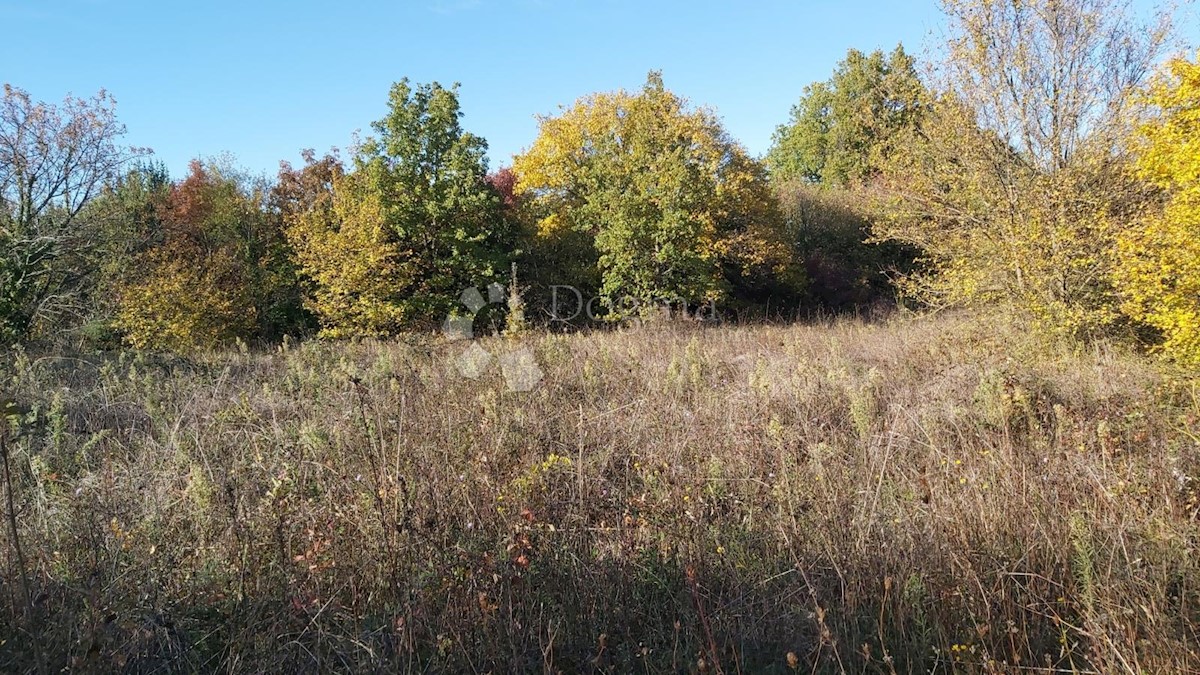 Terrain À vendre - ISTARSKA SVETVINČENAT