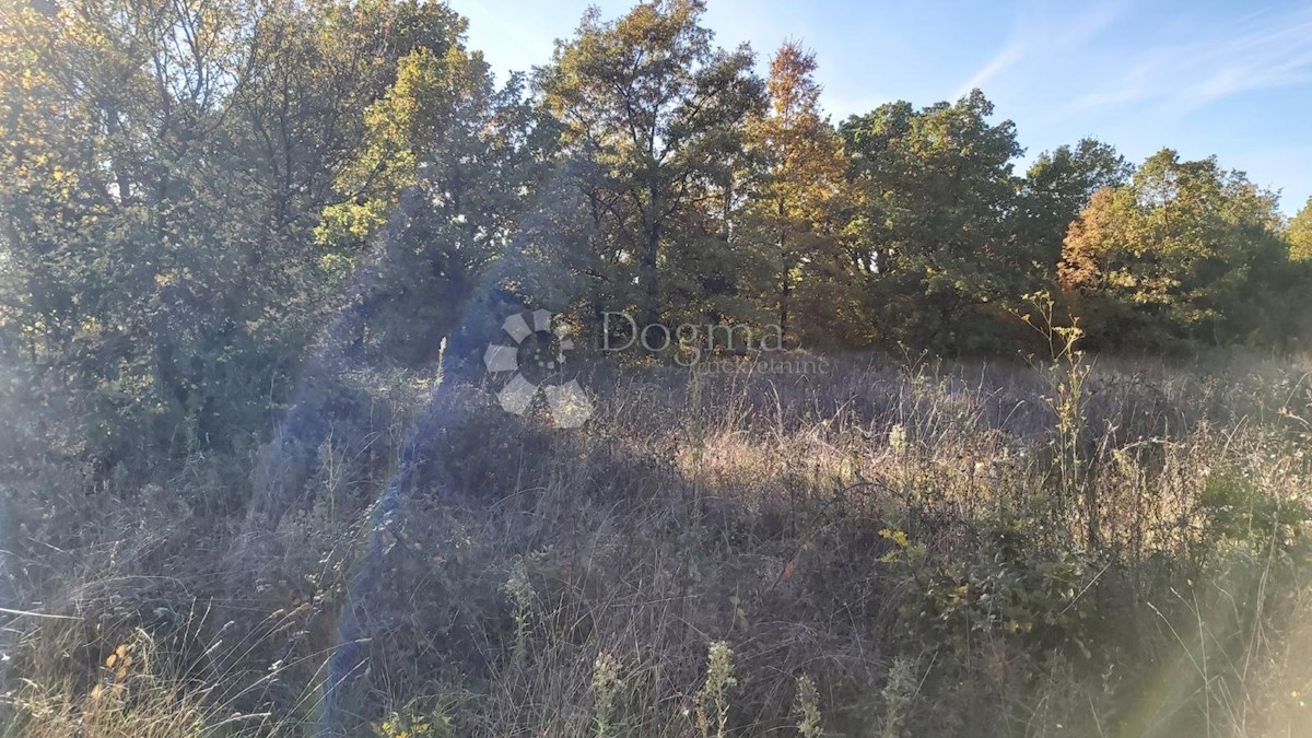 Terreno In vendita - ISTARSKA Svetvinčenat