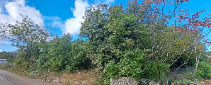 Terreno In vendita - Primorsko-goranska Krk - foto 2/3