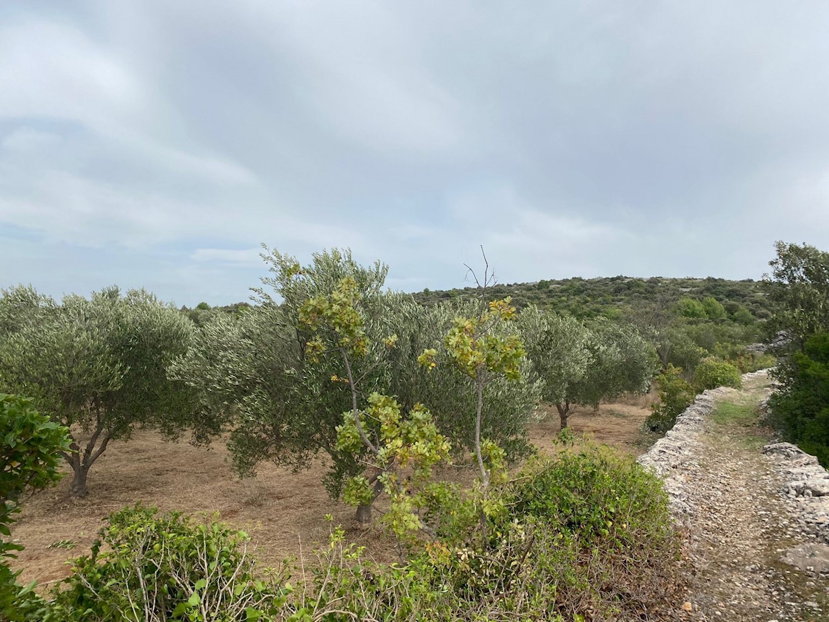 Pozemek Na prodej - ŠIBENSKO-KNINSKA ŠIBENIK