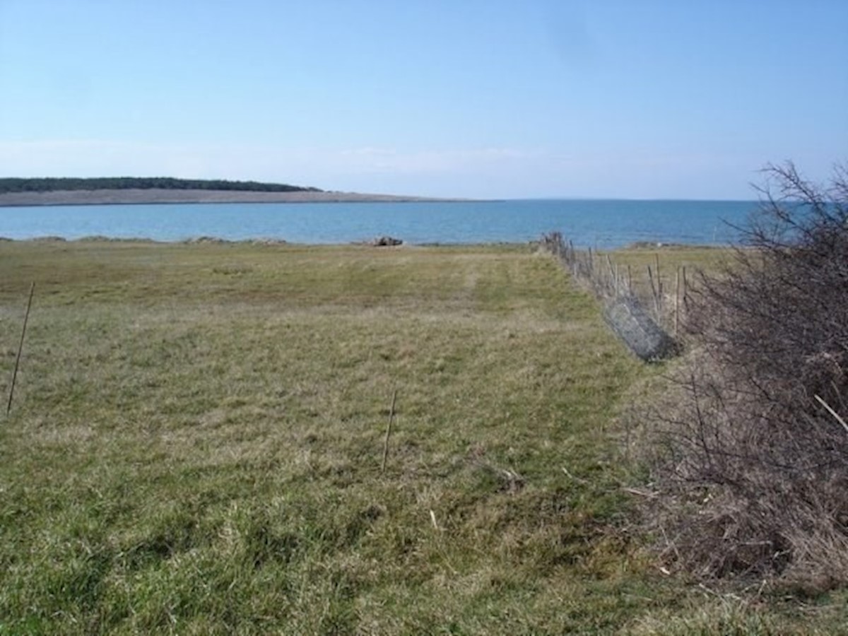 Terreno In vendita POVLJANA