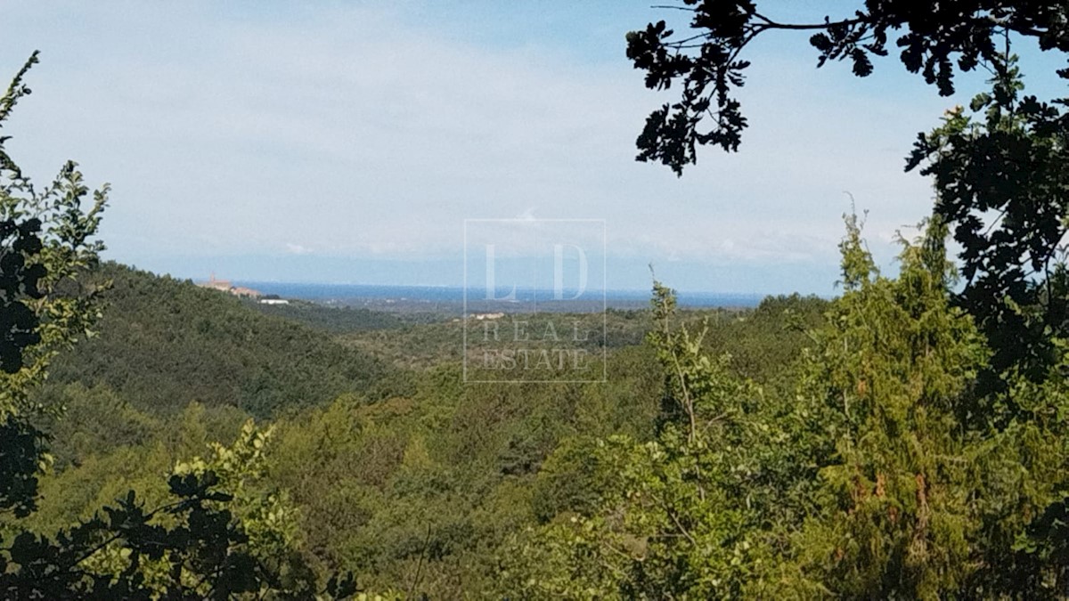 Terreno In vendita - ISTARSKA GROŽNJAN