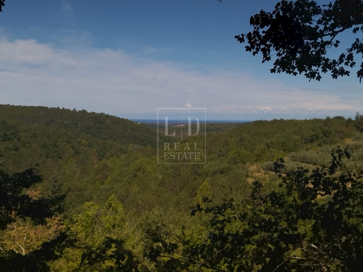 Land For sale - ISTARSKA GROŽNJAN