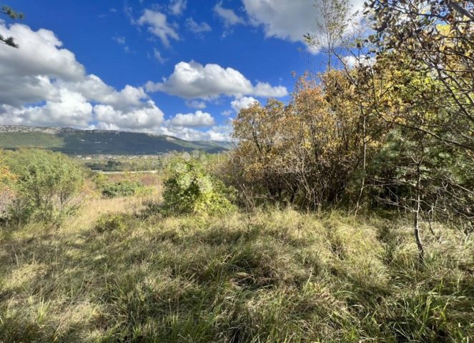 Terrain à vendre 16943 m² – Buzet