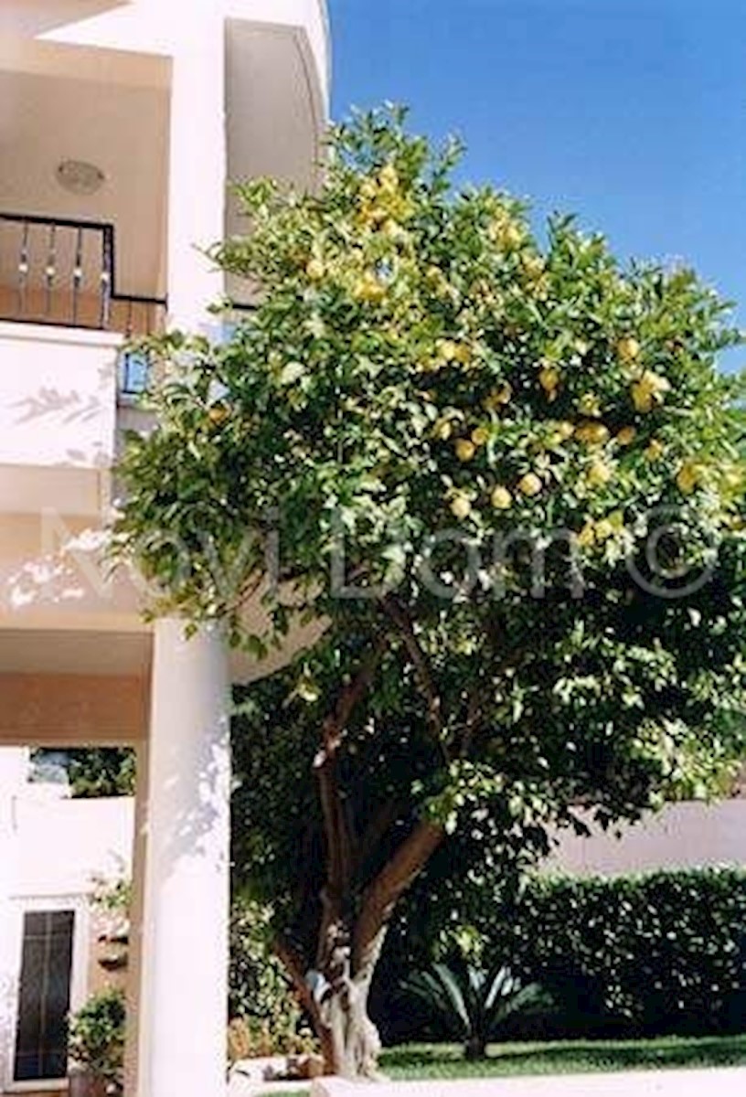 Apartma Na predaj - Splitsko-dalmatinska Podgora - foto 3/19