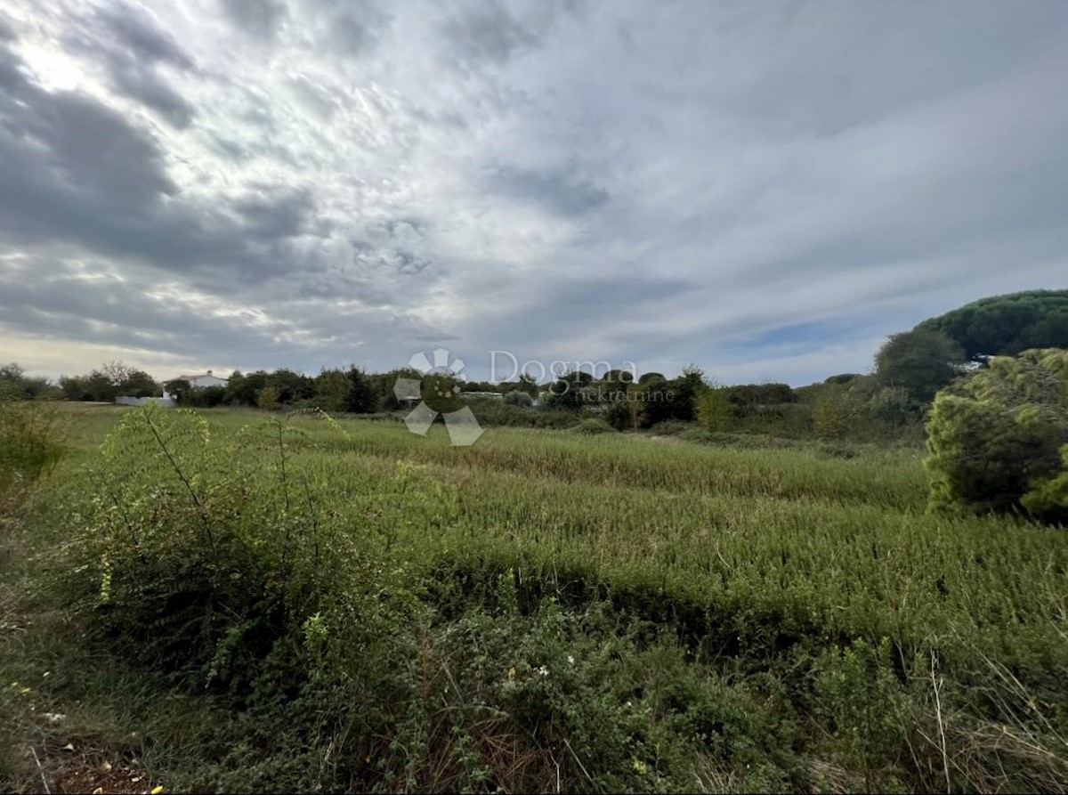 Land For sale - ISTARSKA FAŽANA
