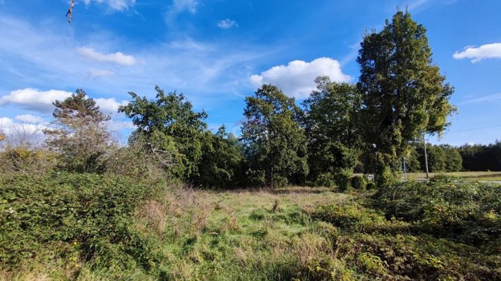 Pozemek na prodej 2290 m² – Jakačići