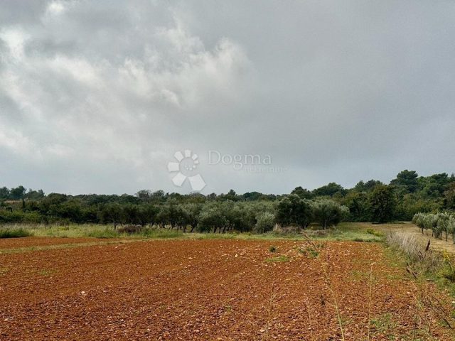 Grundstück Zu verkaufen - Istarska Ližnjan - foto 4/4