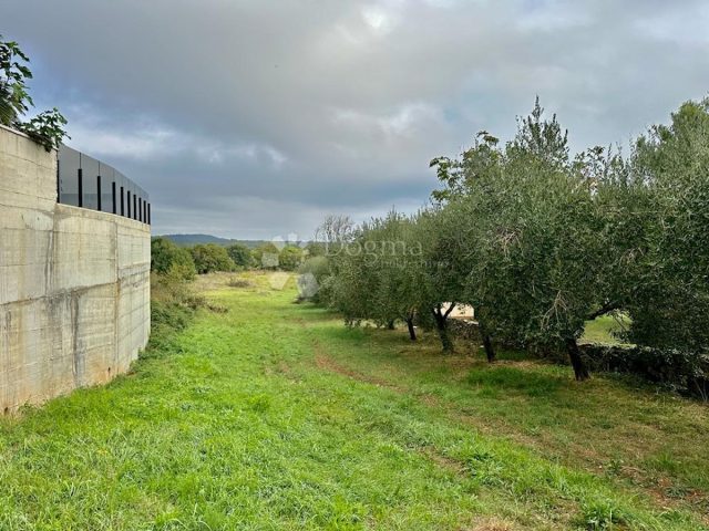Land for sale – Ližnjan