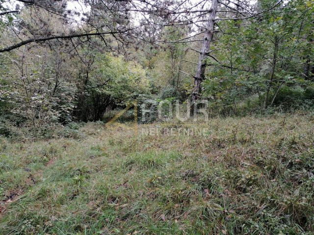 Pozemek na prodej 8493 m² – Klana