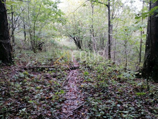 Land For sale - Primorsko-goranska Klana - foto 4/5