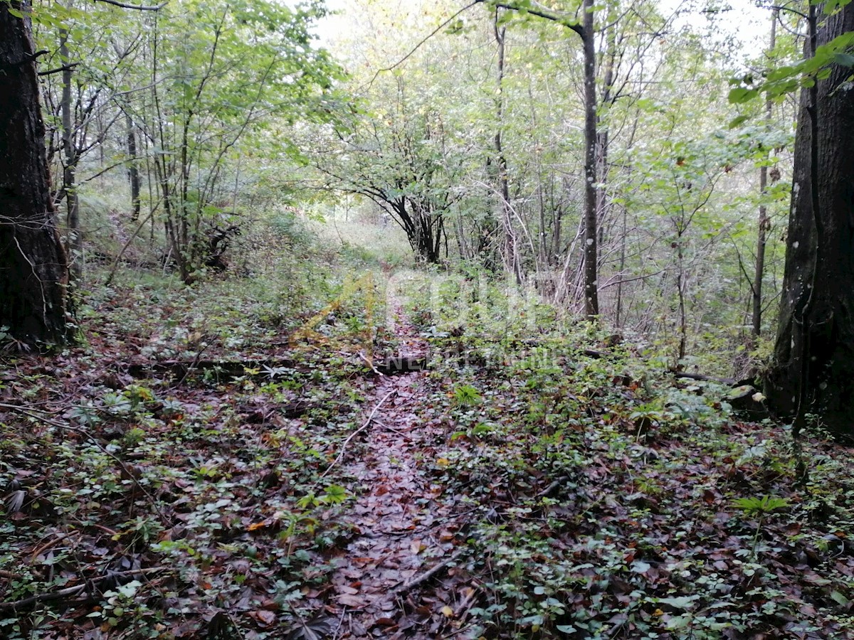 Pozemek Na prodej - Primorsko-goranska Klana - foto 4/5