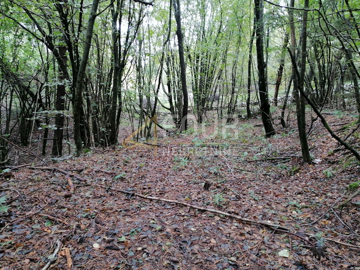 Pozemek Na prodej - Primorsko-goranska Klana - foto 5/5